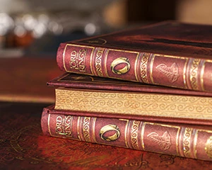 the quest continues feature 2